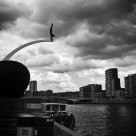 Le Plongeur